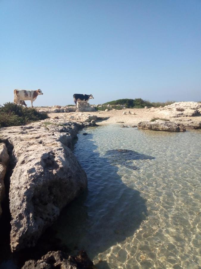 Holiday home Itaca Sant Isidoro (Apulia)